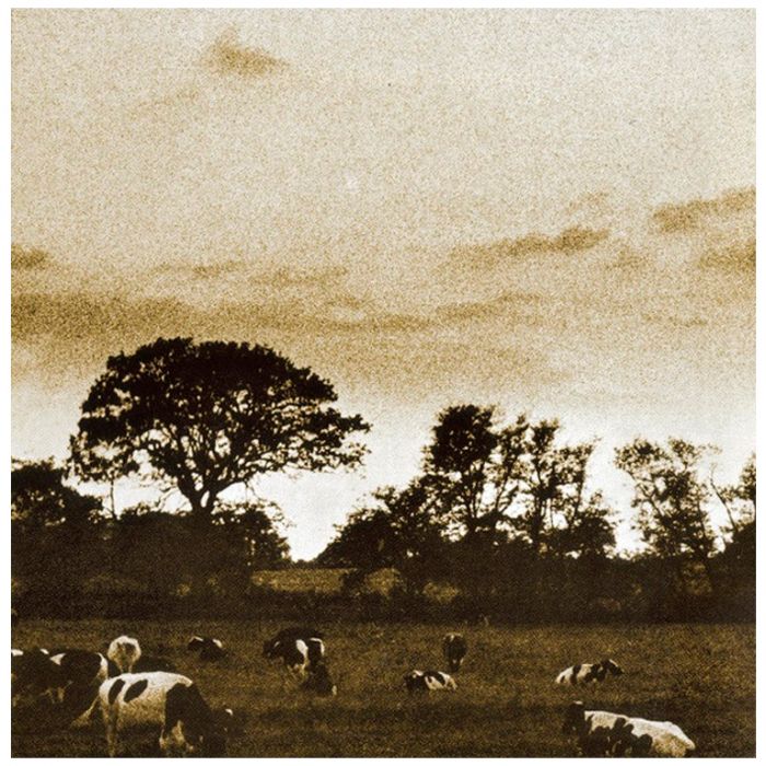 Компакт диск PINK FLOYD – Atom Heart Mother, 1970 (CD, Reissue, Remastered, Unofficial Release 2011)