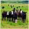 Компакт диск PINK FLOYD – Atom Heart Mother, 1970 (CD, Reissue, Remastered, Unofficial Release 2011)