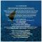 Компакт диск PINK FLOYD – The Dark Side Of The Moon, 1973 (CD, Reissue, Remastered, Unofficial Release 2011)